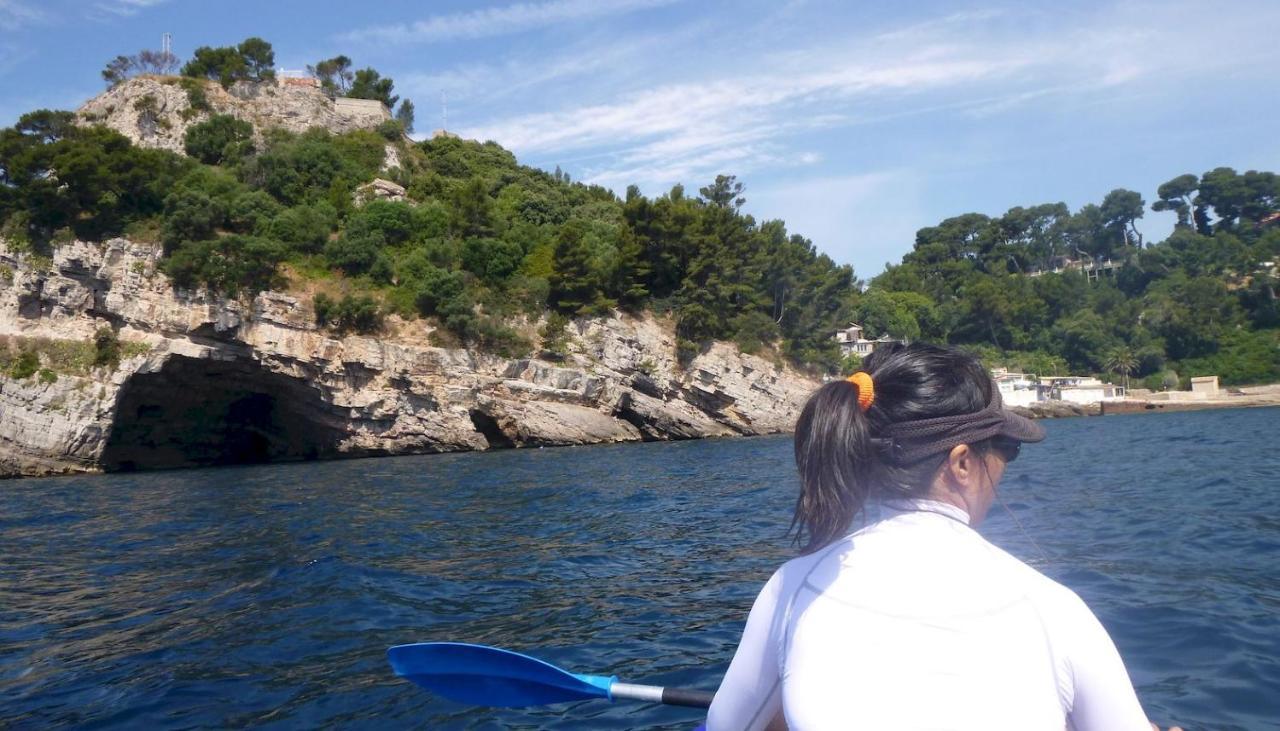 Studio Proche Port Et Plages, Piscine Hyères Kültér fotó
